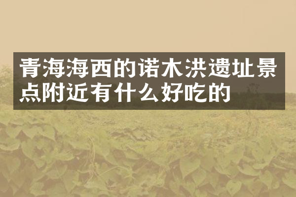 青海海西的诺木洪遗址景点附近有什么好吃的