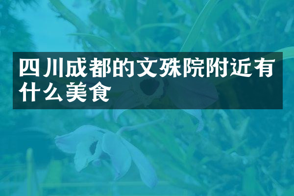 四川成都的文殊院附近有什么美食