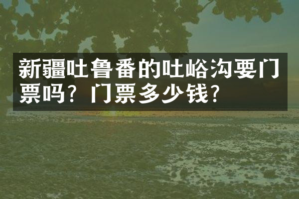 新疆吐鲁番的吐峪沟要门票吗？门票多少钱？