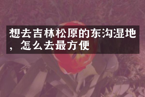 想去吉林松原的东沟湿地，怎么去最方便