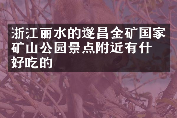 浙江丽水的遂昌金矿国家矿山公园景点附近有什么好吃的