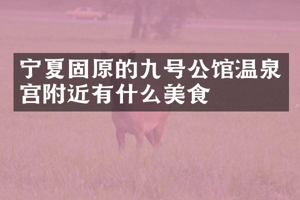 宁夏固原的九号公馆温泉宫附近有什么美食