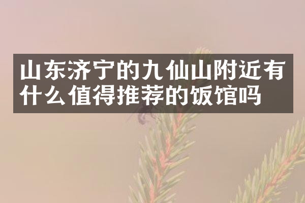 山东济宁的九仙山附近有什么值得推荐的饭馆吗