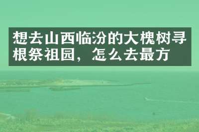 想去山西临汾的大槐树寻根祭祖园，怎么去最方便