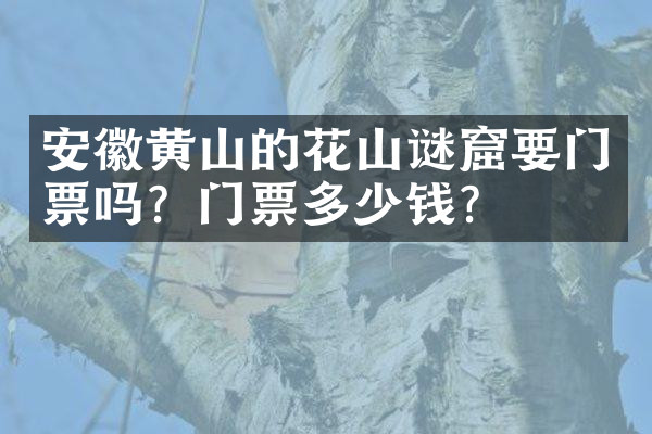 安徽黄山的花山谜窟要门票吗？门票多少钱？