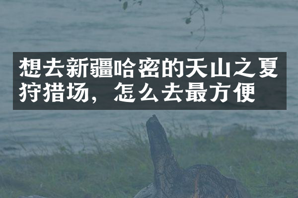 想去新疆哈密的天山之夏狩猎场，怎么去最方便