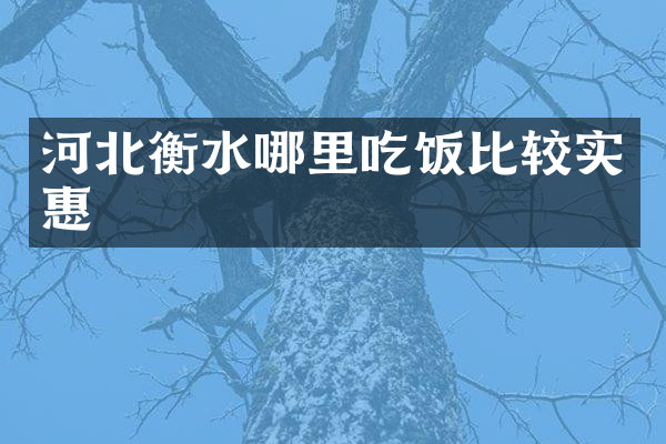 河北衡水哪里吃饭比较实惠