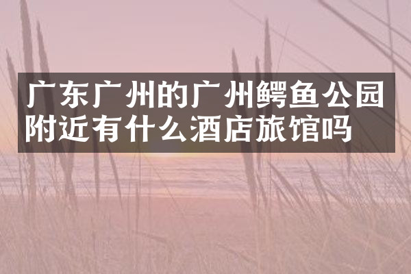 广东广州的广州鳄鱼公园附近有什么酒店旅馆吗
