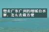 想去广东广州的增城白水寨，怎么去最方便
