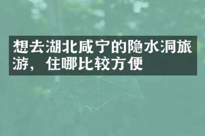 想去湖北咸宁的隐水洞旅游，住哪比较方便