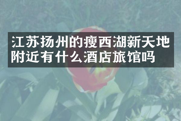江苏扬州的瘦西湖新天地附近有什么酒店旅馆吗