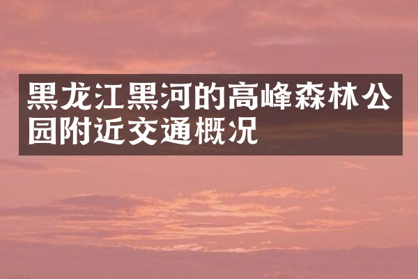 黑龙江黑河的高峰森林公园附近交通概况