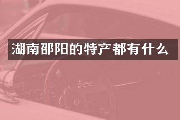 湖南邵阳的特产都有什么