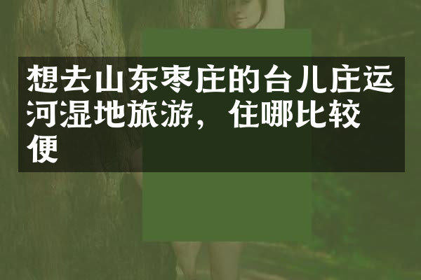 想去山东枣庄的台儿庄运河湿地旅游，住哪比较方便