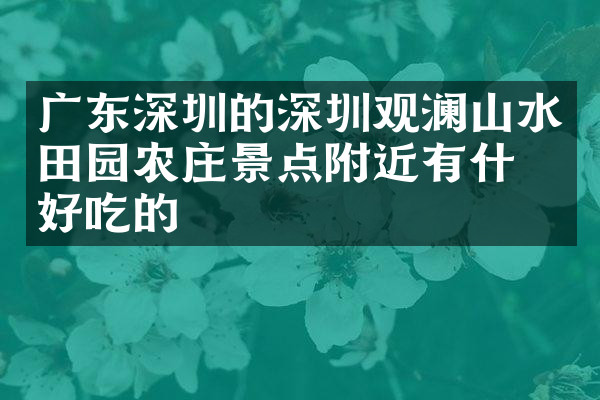 广东深圳的深圳观澜山水田园农庄景点附近有什么好吃的