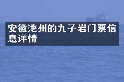 安徽池州的九子岩门票信息详情