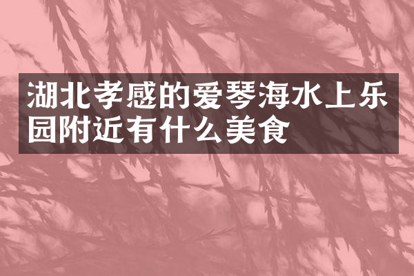 湖北孝感的爱琴海水上乐园附近有什么美食