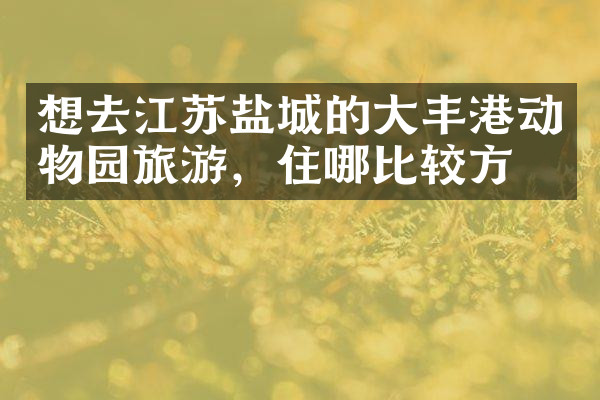 想去江苏盐城的大丰港动物园旅游，住哪比较方便