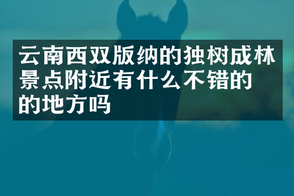 云南西双版纳的独树成林景点附近有什么不错的住的地方吗