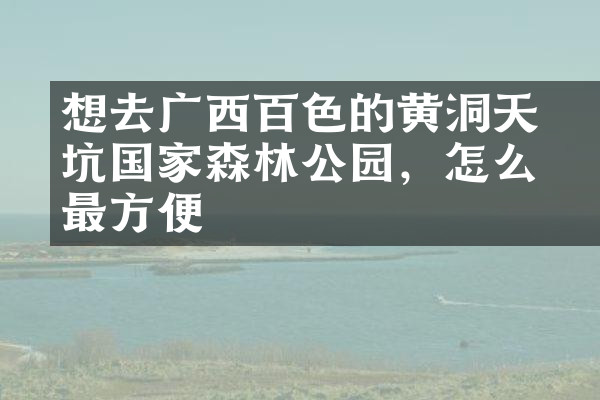 想去广西百色的黄猄洞天坑国家森林公园，怎么去最方便