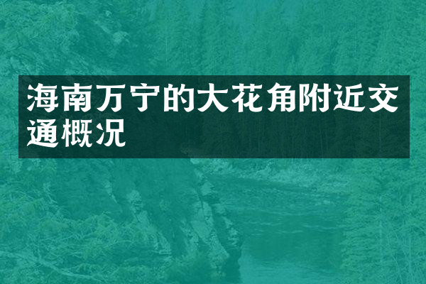 海南万宁的大花角附近交通概况