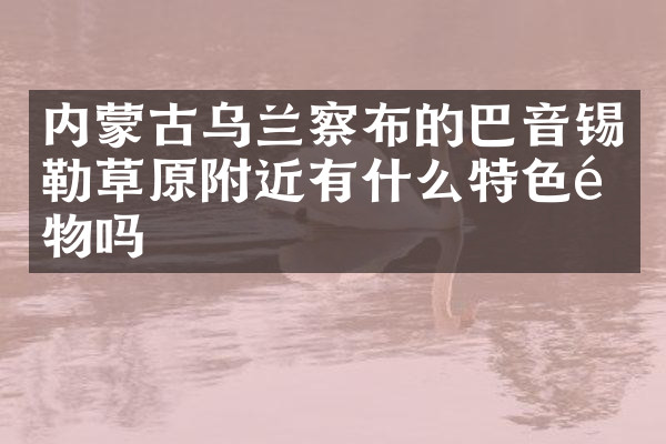 内蒙古乌兰察布的巴音锡勒草原附近有什么特色食物吗