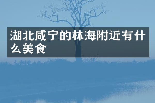 湖北咸宁的林海附近有什么美食