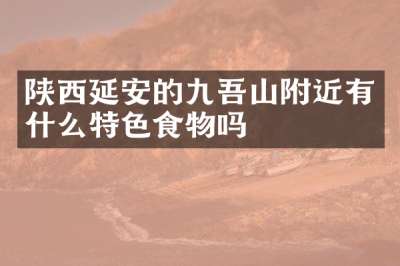 陕西延安的九吾山附近有什么特色食物吗