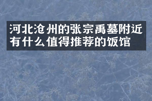 河北沧州的张宗禹墓附近有什么值得推荐的饭馆吗