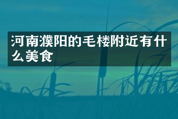 河南濮阳的毛楼附近有什么美食