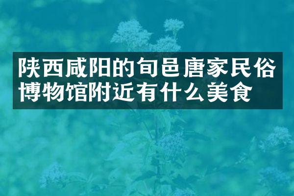 陕西咸阳的旬邑唐家民俗博物馆附近有什么美食