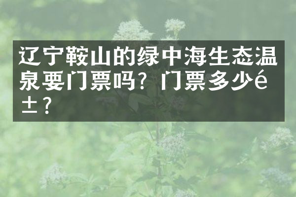 辽宁鞍山的绿中海生态温泉要门票吗？门票多少钱？