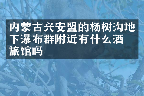 内蒙古兴安盟的杨树沟地下瀑布群附近有什么酒店旅馆吗