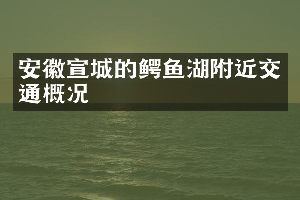 安徽宣城的鳄鱼湖附近交通概况