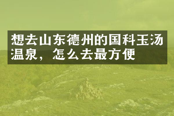 想去山东德州的国科玉汤温泉，怎么去最方便