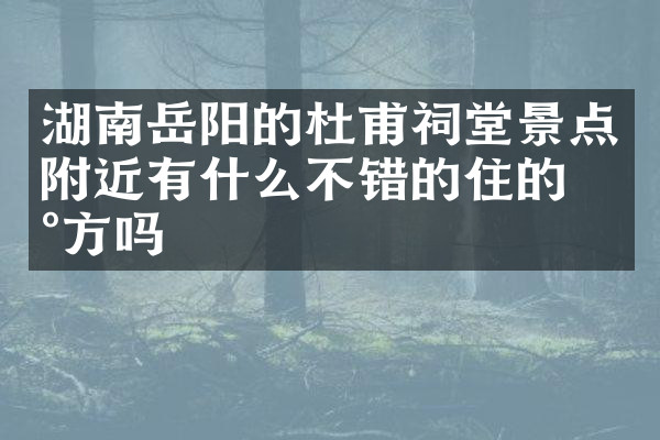 湖南岳阳的杜甫祠堂景点附近有什么不错的住的地方吗