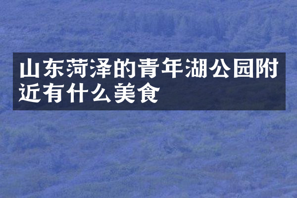 山东菏泽的青年湖公园附近有什么美食