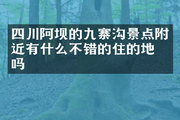 四川阿坝的九寨沟景点附近有什么不错的住的地方吗