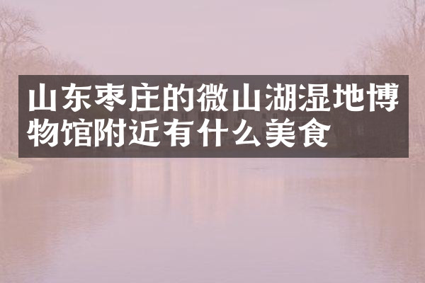 山东枣庄的微山湖湿地博物馆附近有什么美食