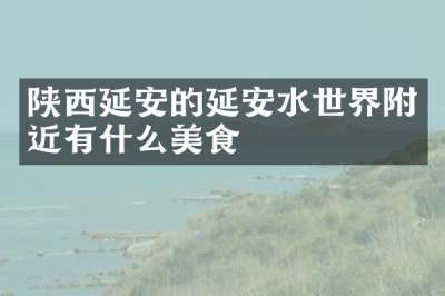 陕西延安的延安水世界附近有什么美食
