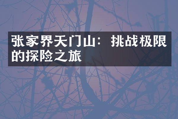 张家界天门山：挑战极限的探险之旅