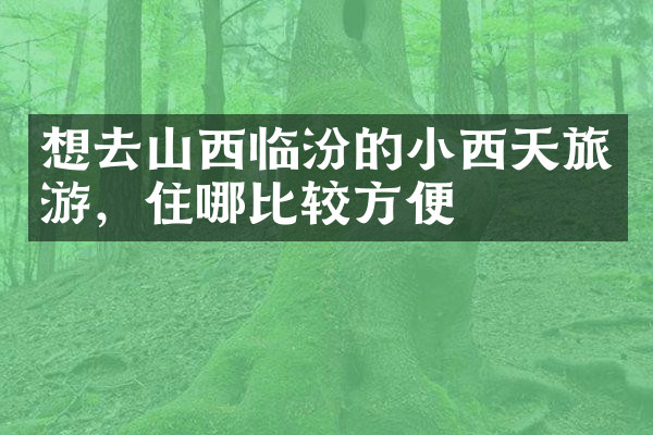 想去山西临汾的小西天旅游，住哪比较方便