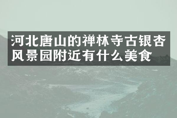 河北唐山的禅林寺古银杏风景园附近有什么美食