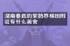 湖南娄底的紫鹊界梯田附近有什么美食
