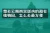 想去云南西双版纳的勐仑植物园，怎么去最方便