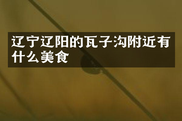辽宁辽阳的瓦子沟附近有什么美食