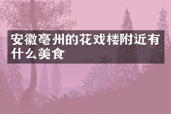 安徽亳州的花戏楼附近有什么美食