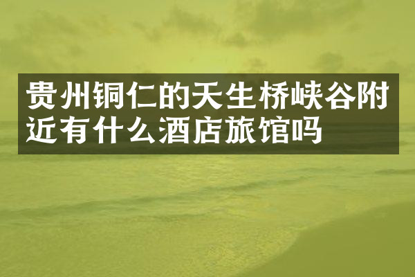 贵州铜仁的天生桥峡谷附近有什么酒店旅馆吗
