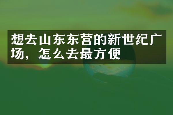 想去山东东营的新世纪广场，怎么去最方便