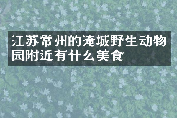 江苏常州的淹城野生动物园附近有什么美食